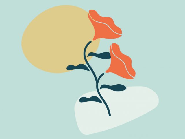 alt=